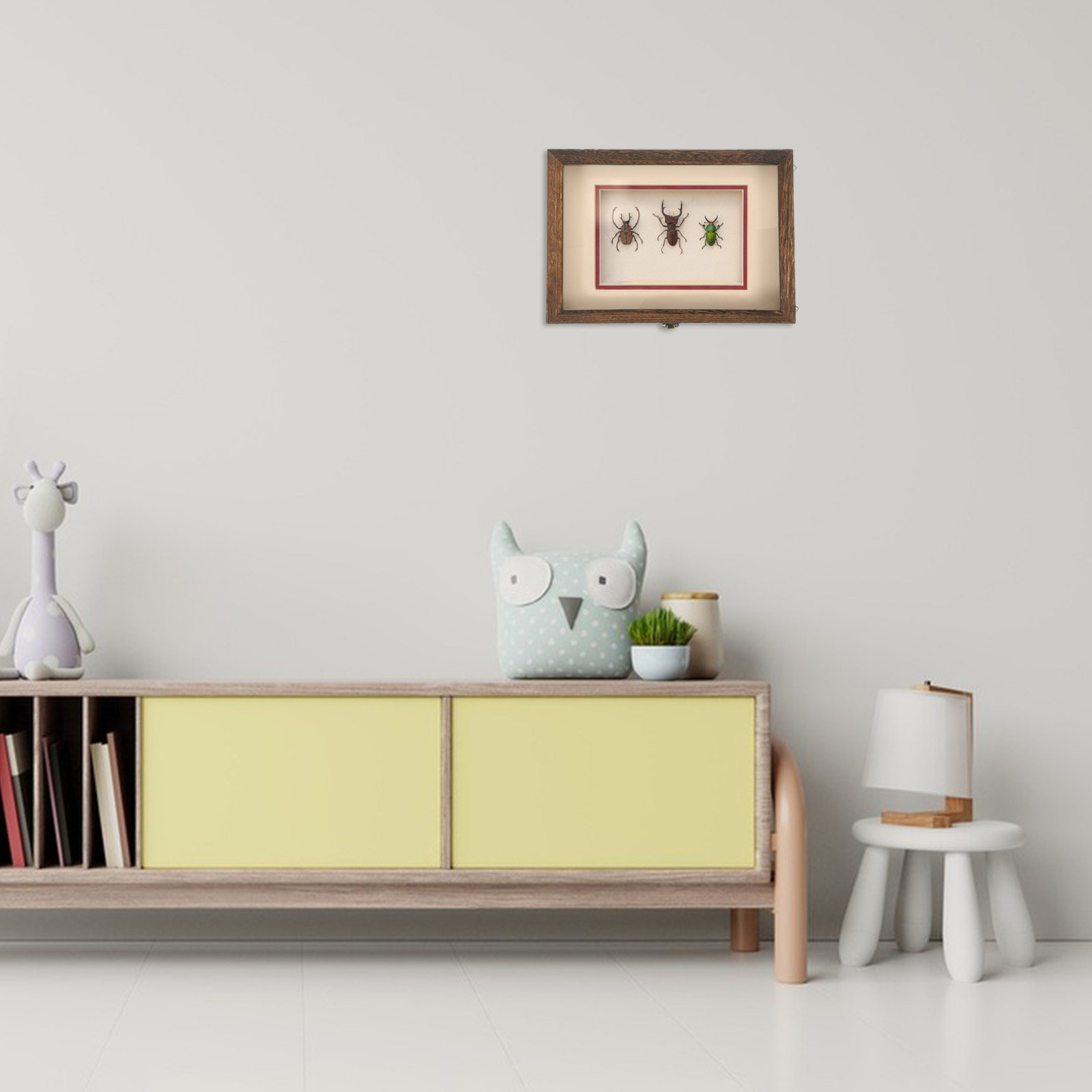 Frame Display Wood - レトロな木製昆虫展示ケース（透明アクリルパネル付き）1セット、蝶、植物、ドライフラワー、ジュエリーの展示用