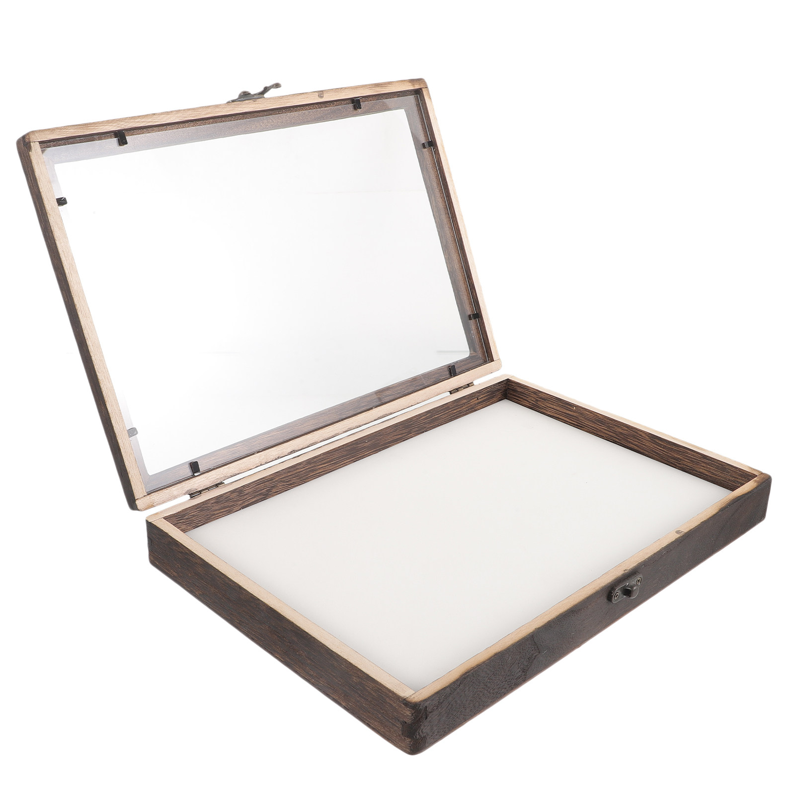 レトロな木製昆虫展示ケース（透明アクリルパネル付き）1セット - Frame Display Wood のレビューと価格