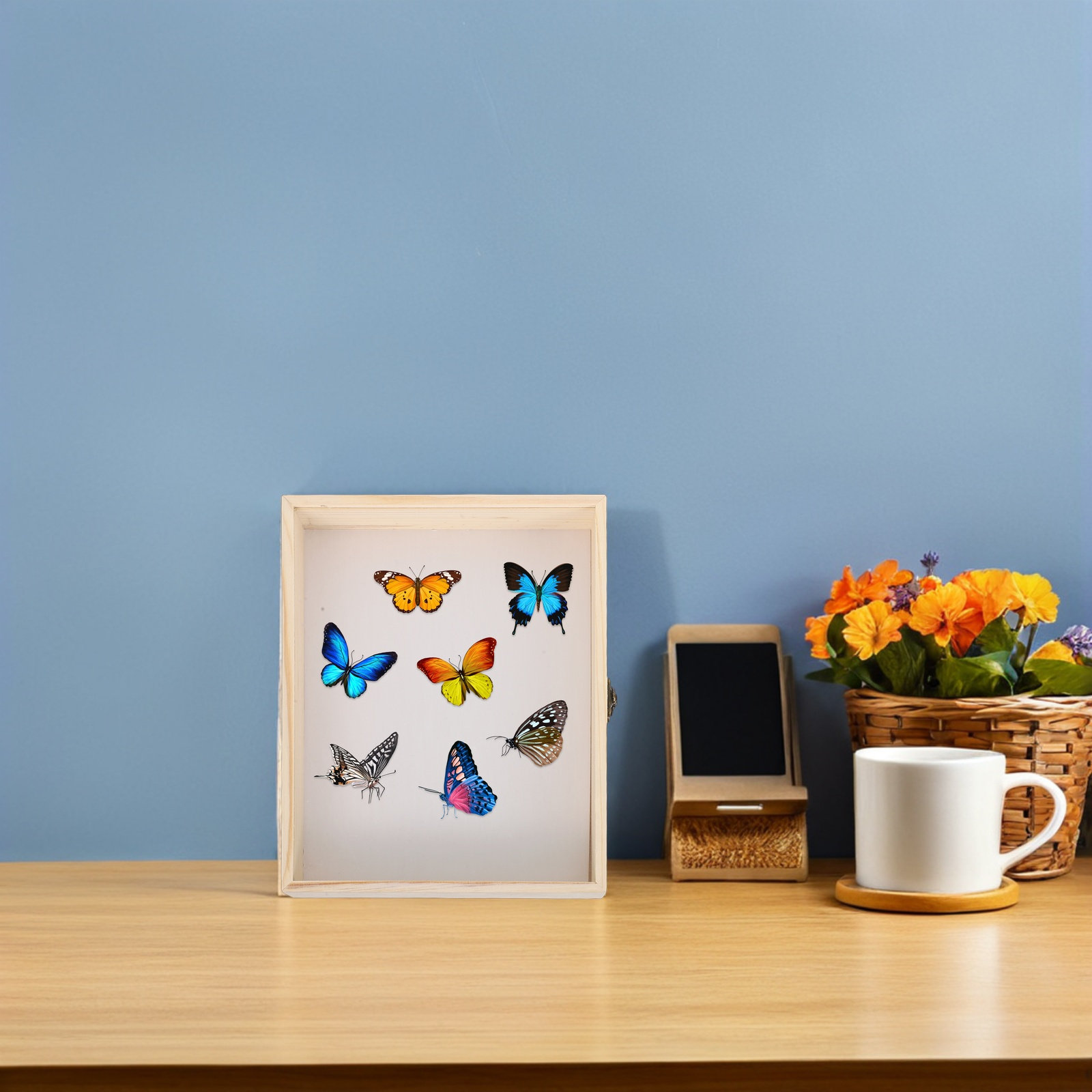 無垢材昆虫標本展示箱 26x20cm 透明フレーム 学校科学 - Frame Display Wood のレビューと価格