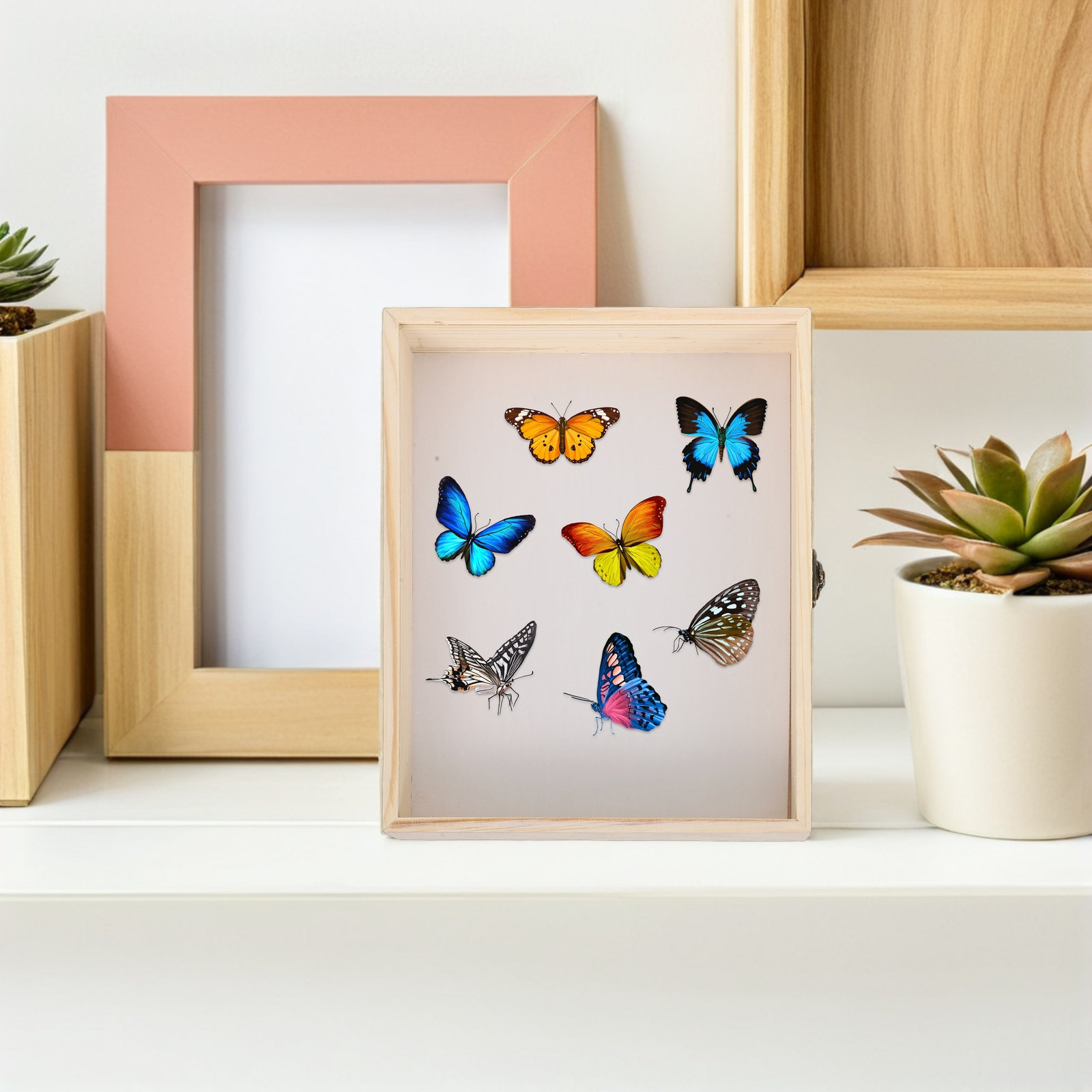 無垢材昆虫標本展示箱 26x20cm 透明フレーム 学校科学 - Frame Display Wood のレビューと価格